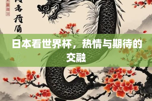 日本看世界杯，热情与期待的交融