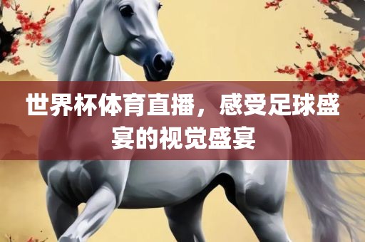 世界杯体育直播，感受足球盛宴的视觉盛宴