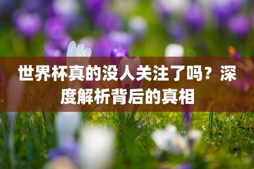 世界杯真的没人关注了吗？深度解析背后的真相洛阳市法福文化传播有限公司