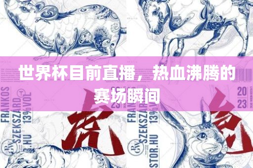 世界杯目前直播，热血沸腾的赛场瞬间