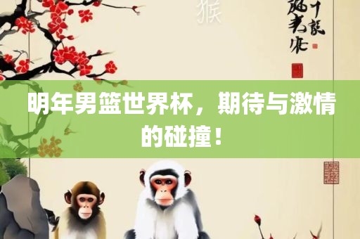 明年男篮世界杯，期待与激情的碰撞！