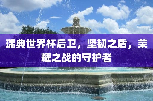 瑞典世界杯后卫，坚韧之盾，荣耀之战的守护者洛阳市法福文化传播有限公司