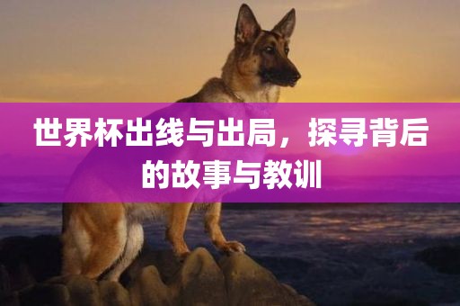 世界杯出线与出局，探寻背后的故事与教训洛阳市法福文化传播有限公司