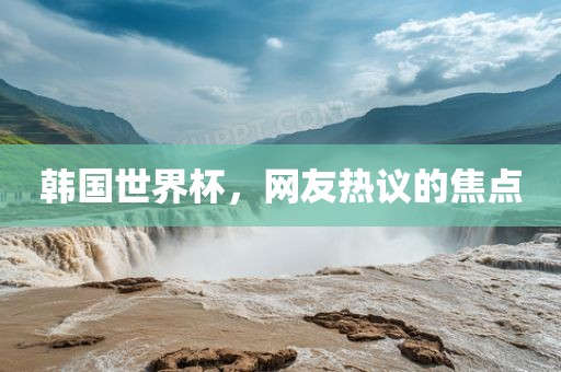 韩国世界杯，网友热议的焦点