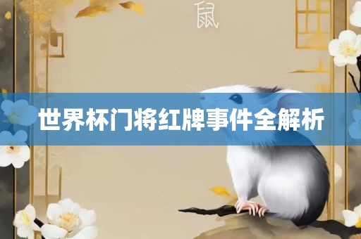 世界杯门将红牌事件全解析