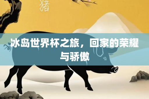 冰岛世界杯之旅，回家的荣耀与骄傲