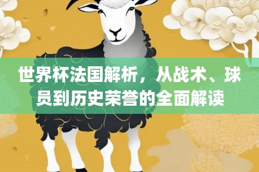 世界杯法国解析，从战术、球员到历史荣誉的全面解读