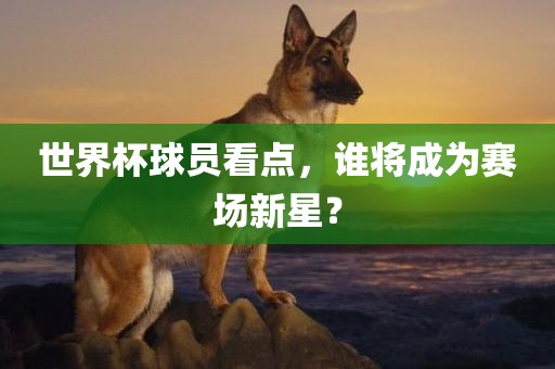 世界杯球员看点，谁将成为赛场新星？