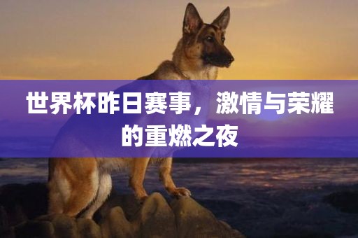 激情与荣耀 第3页