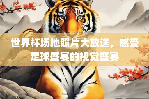 世界杯场地照片大放送，感受足球盛宴的视觉盛宴