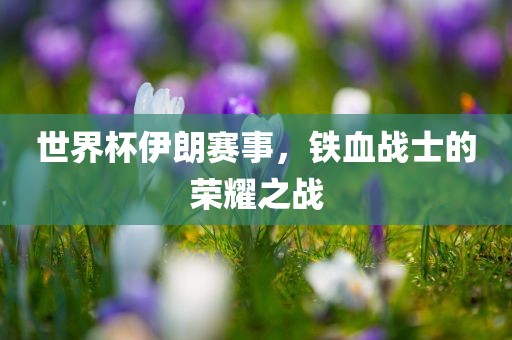 世界杯伊朗赛事，铁血战士的荣耀之战洛阳市法福文化传播有限公司