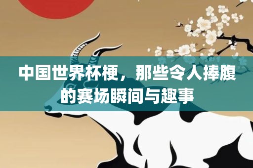 中国世界杯洛阳市法福文化传播有限公司梗，那些令人捧腹的赛场瞬间与趣事