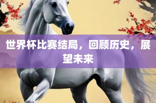世界杯比赛结局，回顾历史，展望未来