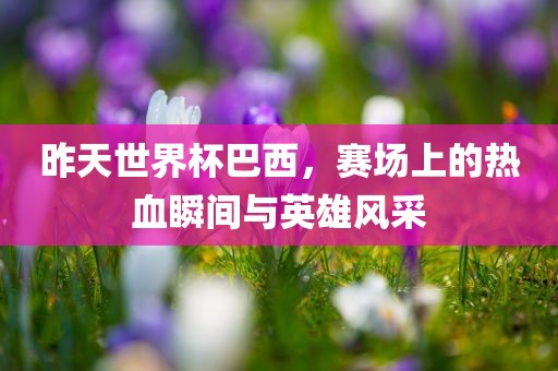 昨天世界杯巴西，赛场上的热血瞬间与英雄风采洛阳市法福文化传播有限公司