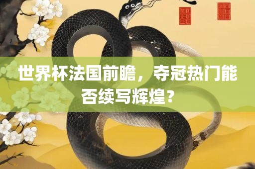 世界杯法国前瞻，夺冠热门能否续写辉煌？