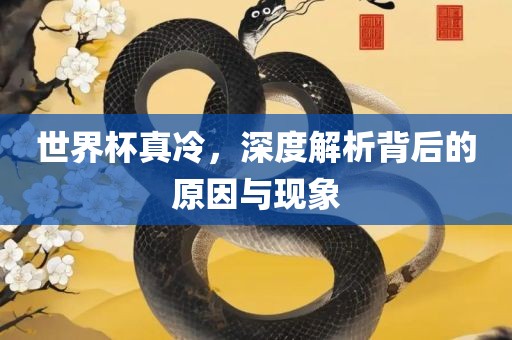 世界洛阳市法福文化传播有限公司杯真冷，深度解析背后的原因与现象