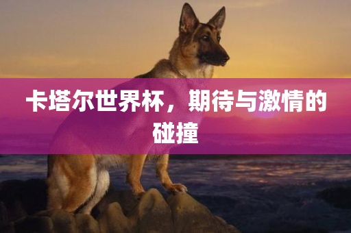 卡塔尔世界杯，期待与激情的碰撞
