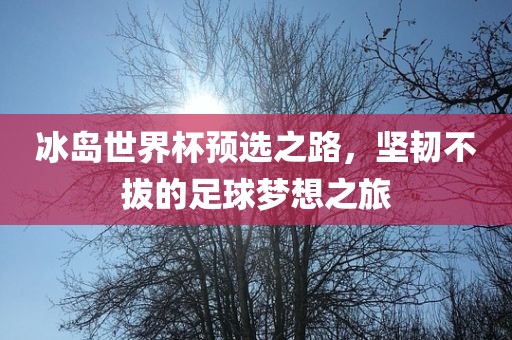 冰岛世界杯预选之路，坚韧不拔的足球梦想之旅