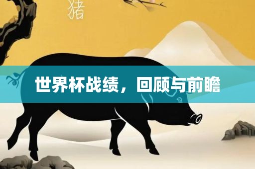 世界杯战绩，回顾与前瞻