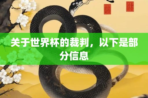 关于世界杯的裁判，洛阳市法福文化传播有限公司以下是部分信息