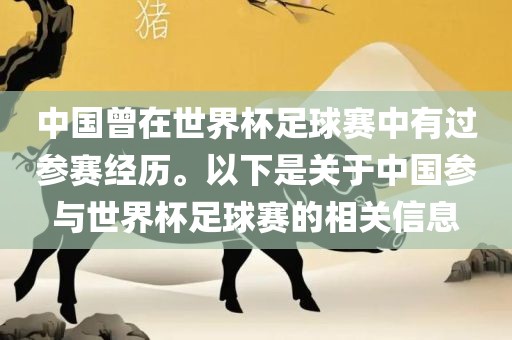 中国曾在世界杯足球赛中有过参赛经历。以下是关于中国参与世界杯足球赛的相关信息洛阳市法福文化传播有限公司