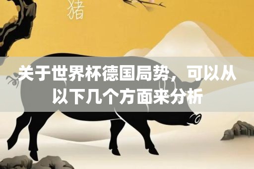 关于世界杯德国局势，可以从以下几个方面来分析洛阳市法福文化传播有限公司