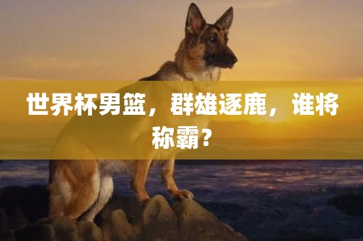 世界杯男篮，群雄逐鹿，谁将称霸？