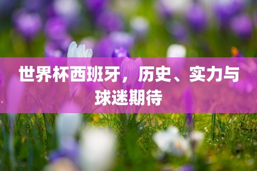 世界杯西班牙，历史、实力与球迷期待