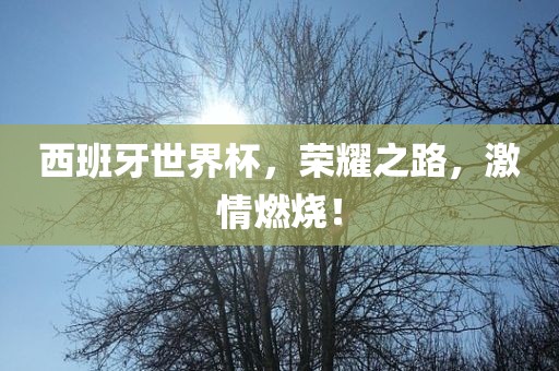 西班牙世界杯，荣耀之路，激情燃烧！