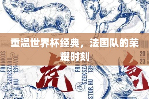 重温世界杯经典，法国队的荣耀时刻洛阳市法福文化传播有限公司