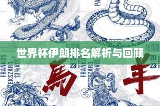 世界杯伊朗排名解析与回顾洛阳市法福文化传播有限公司
