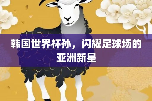 韩国世界杯孙，闪耀足球场的亚洲新星洛阳市法福文化传播有限公司