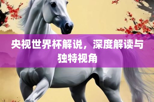 央视世界杯解说，深度解读与独特视角