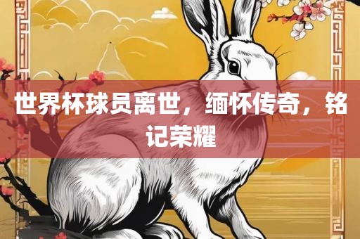 世界杯球员离世，缅怀传奇，铭记荣耀洛阳市法福文化传播有限公司