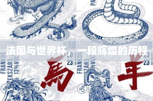 法国与世界杯，一段辉煌的历程