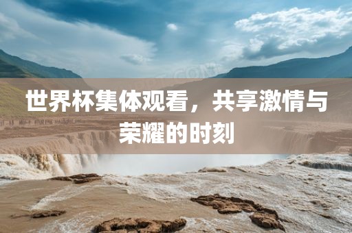 世界杯集体观看，共享激情与荣耀的时刻洛阳市法福文化传播有限公司