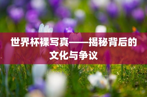 世界杯裸写真——揭秘洛阳市法福文化传播有限公司背后的文化与争议