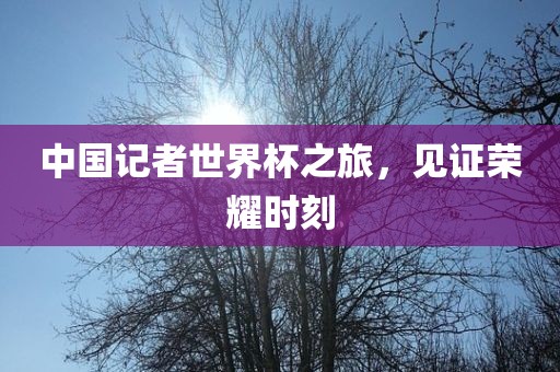 中国记者世界杯之旅，见证荣耀时刻