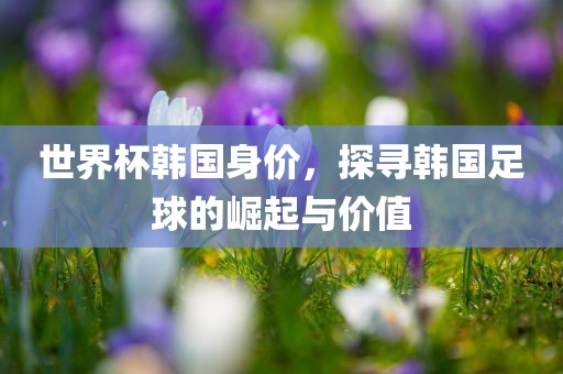 世界杯韩国身价，探寻韩国足球的崛起与价值