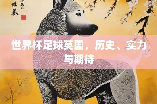 世界杯足球英国，历史、实力与期待