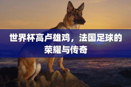 世界杯高卢雄鸡，法国足球的荣耀与传奇